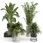 Indoor Plants Set 9