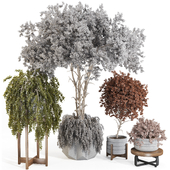 Decorative Multi Colored Tree Collection in Cement Pot 287
