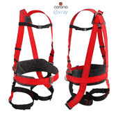 Safety and restraint harness