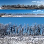 Деревья в инее в снежном поле. 2 панорамы