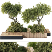 backyard and landscape garden bonsai tree and shrubs set 293