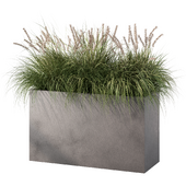 Grass & Pampas Outdoor Plant Set.62