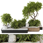 snowy backyard and landscape garden bonsai tree and shrub set 294