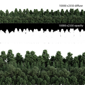 Panorama of mixed forest with opacity map