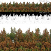 Panorama of the autumn forest with opacity map
