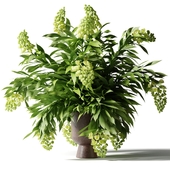 Green bouquet in a clay vase