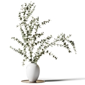 Eucalyptus branches in a white vase