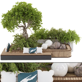backyard and landscape garden bonsai tree and shrubs set 298
