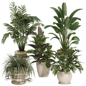 Indoor Plants Set 44