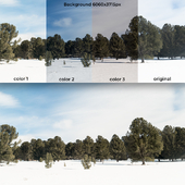 Background Winter trees 6k