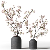 Two flowering branches in black vases