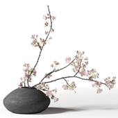 Blooming branch in a black vase