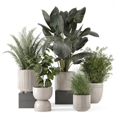 Indoor Plants In Rusty Concrete Pot - Set 2052