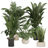 Indoor plants set 25