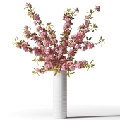 Blooming sakura branches in a white vase