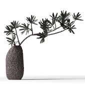 Podocarpus branch in a brown clay vase