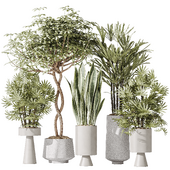 Indoor plant set 29