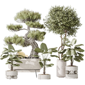 Indoor plant set 32