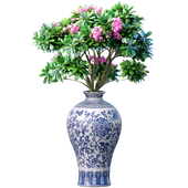 Декоративное цветущее домашнее растение в вазе горшке вазоне. Домашнее растение