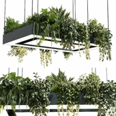 Rectangle pot light pendant - plant light hanging - indoor plant 22 corona