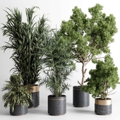 indoor plant 474 pot plant tree metal and marble dirt vase