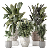 Indoor Plants in Handmade Terrazzo Pots - Set 2134