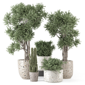 Indoor Plants in Handmade Terrazzo Pots - Set 2141