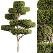 Topiary Tree - Tree Set 308