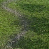 Grass with path