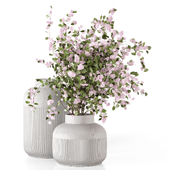 Indoor Bouquet Collection Plants - Set 2151