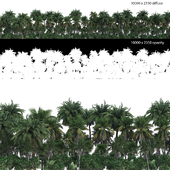 Панорама пальмового леса с картой Opacity