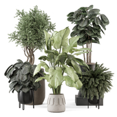Indoor Plants in Ferm Living Bau Pot Large - Set 2154
