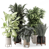 Indoor Plants in Ferm Living Bau Pot Large - Set 2156