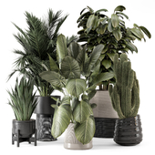 Indoor Plants in Ferm Living Bau Pot Large - Set 2158