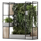 Indoor Plants in Wooden Base on Metal Shelf - Set 2159