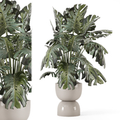 Indoor Plants in Ferm Living Bau Pot Large - Set 2160