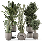 Indoor Plants in Ferm Living Bau Pot Large - Set 2167