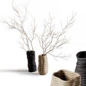 Vases with branches