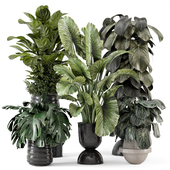 Indoor Plants in Ferm Living Bau Pot Large - Set 2182