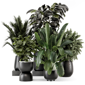 Indoor Plants in Ferm Living Bau Pot Large - Set 2186