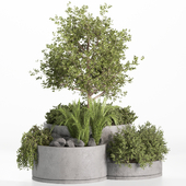 Outdoor plants concrete pot set15