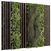 Vertical Wall Garden With Wooden frame - partition plants 83