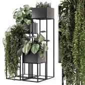 Indoor Plants in Concrete Pot on Metal Shelf - Set 2188