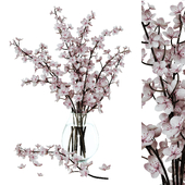 Bouquet of sakura branches