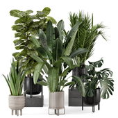 Indoor Plants in Ferm Living Bau Pot Large - Set 2201