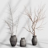 Dry branches in decorative old vases - indoor plant 496