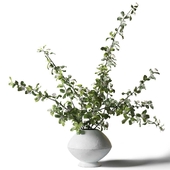 Bouquet - green branches in a white vase