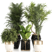 Indoorplants in stone pot-set103