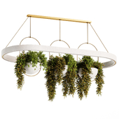 Indoor plants-Hanging plants set-29 Version :3dsmax 2015