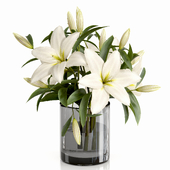 Decorative Plants 34-lily1